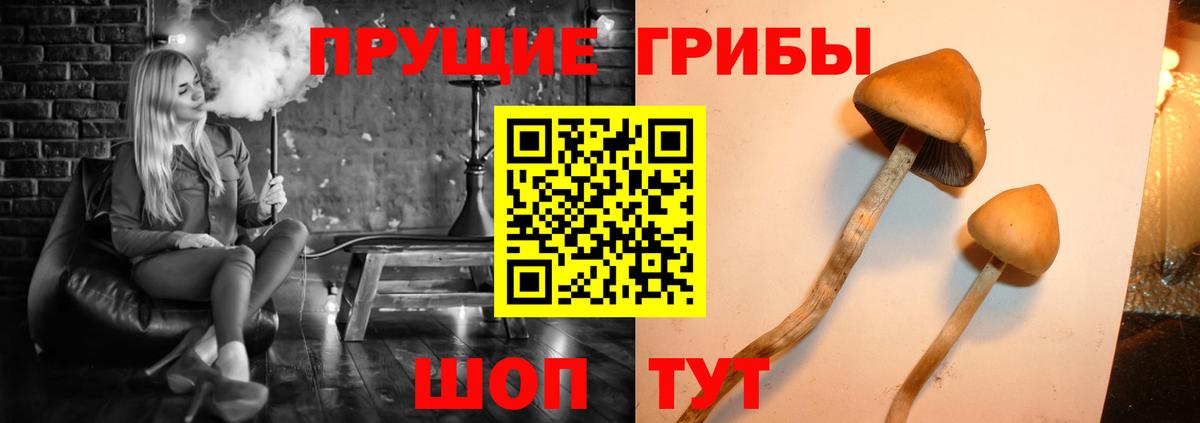 Галлюциногенные грибы GOLDEN TEACHER  Вход с VPN  Галлюциногенные грибы GOLDEN TEACHER  где можно купить наркотик  Красноуфимск 